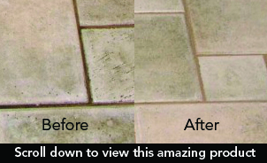 tile brite, enzyme cleaner and deodorizer, floors and walls, money back guarantee, potpourri scent.